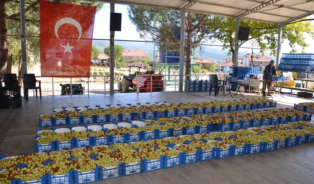 Manisa'da kadınların hünnap mesaisi başladı