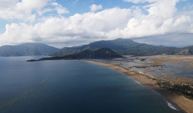 Küresel ısınma caretta caretta yavrularının cinsiyetini de etkiledi