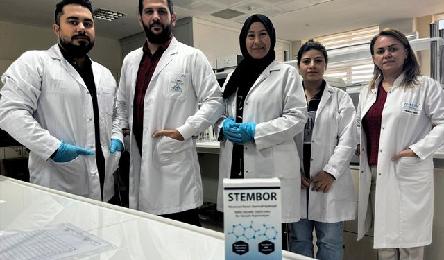 Eklem ve kıkırdak hastalıklarının tedavisi için bor mineralli ürün geliştirildi