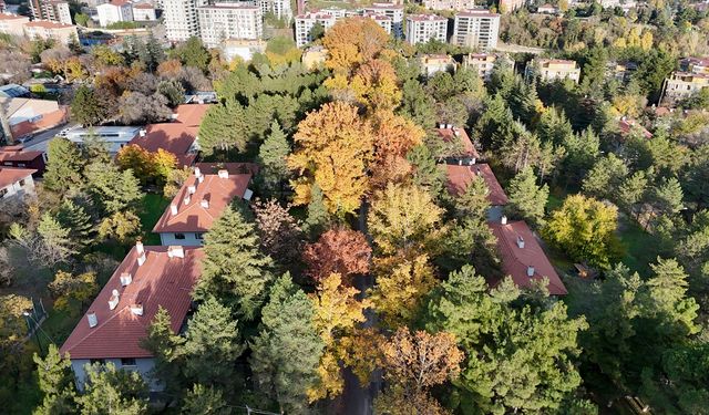 Karabük'te sonbahar