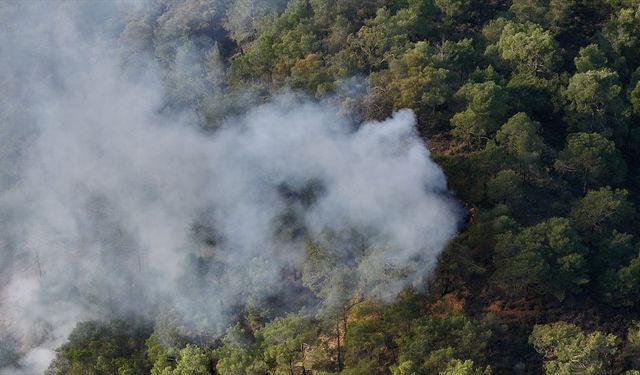 Muğla'da çıkan orman yangını söndürüldü