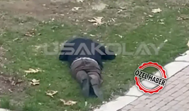 Park'ta Hareketsiz Yatan Kişi Alkollü Çıktı