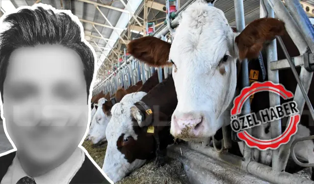 Uşak’ta Banka Memuru Çiftçileri Dolandırdı: 10 Milyon TL Vurgun!