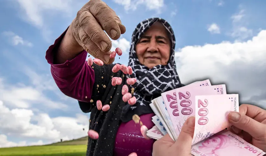 Uşaklı Çiftçiye Büyük Müjde! 141,5 Milyon TL Hibe Desteği