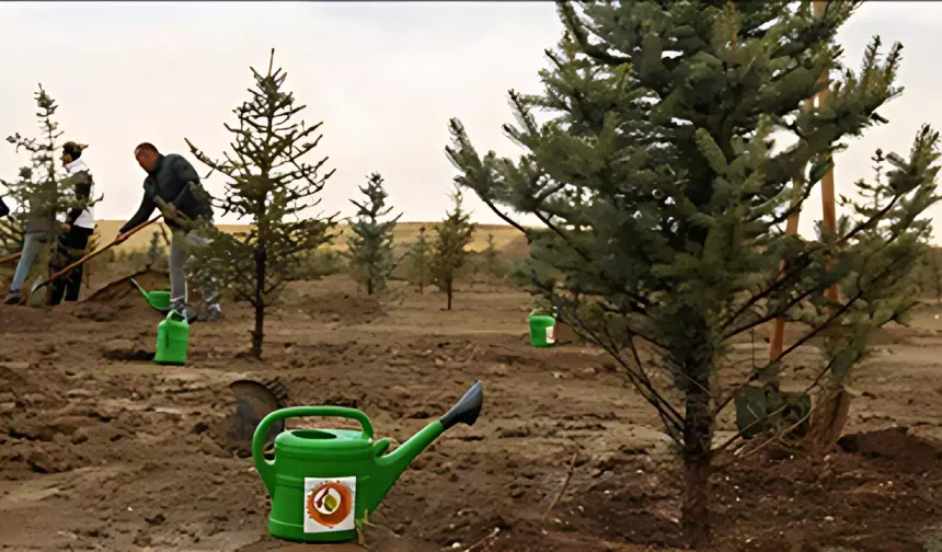 Kütahya'da Zafer Kalkınma Ajansı tarafından hatıra ormanı oluşturuldu