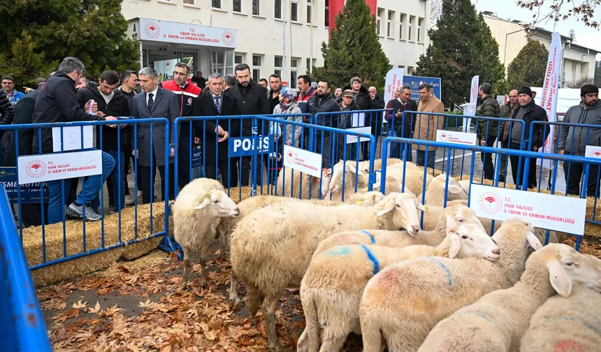 Üreticilere Koyun ve Güneş Enerjisi Sistemi Desteği