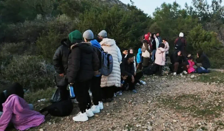 Muğla açıklarında 77 düzensiz göçmen kurtarıldı