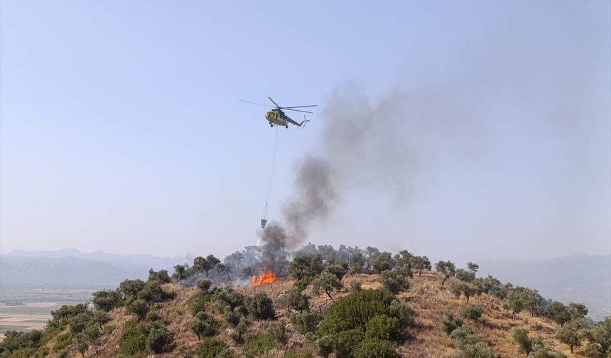 Aydın'da zeytinlik alanda çıkan yangın kontrol altına alındı