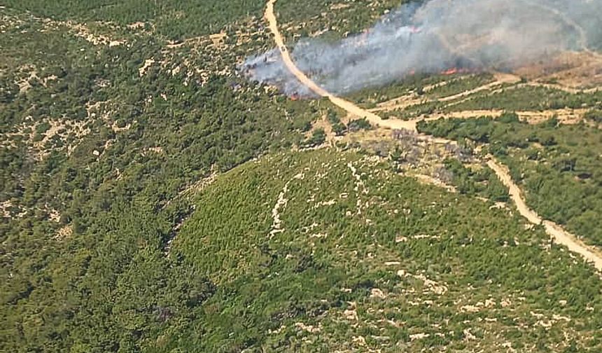 İzmir'in Foça ilçesinde çıkan orman yangınına müdahale ediliyor