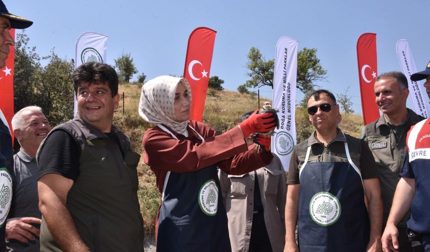 Afyonkarahisar'da 1000 kınalı keklik doğaya bırakıldı