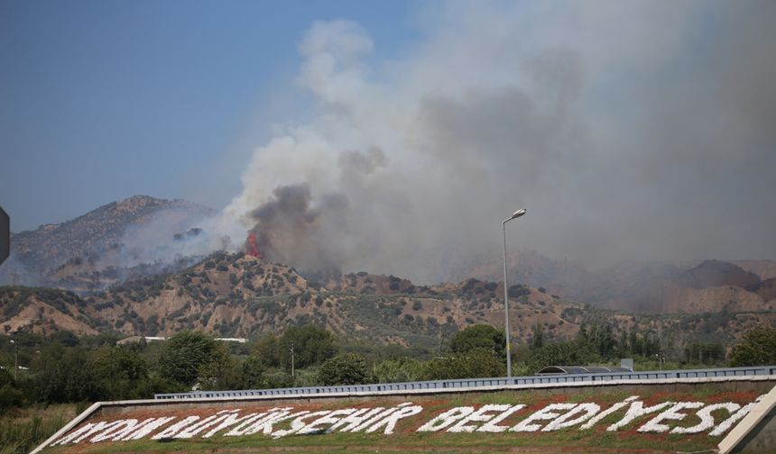 Aydın'da ağaçlık alanda çıkan yangına müdahale ediliyor
