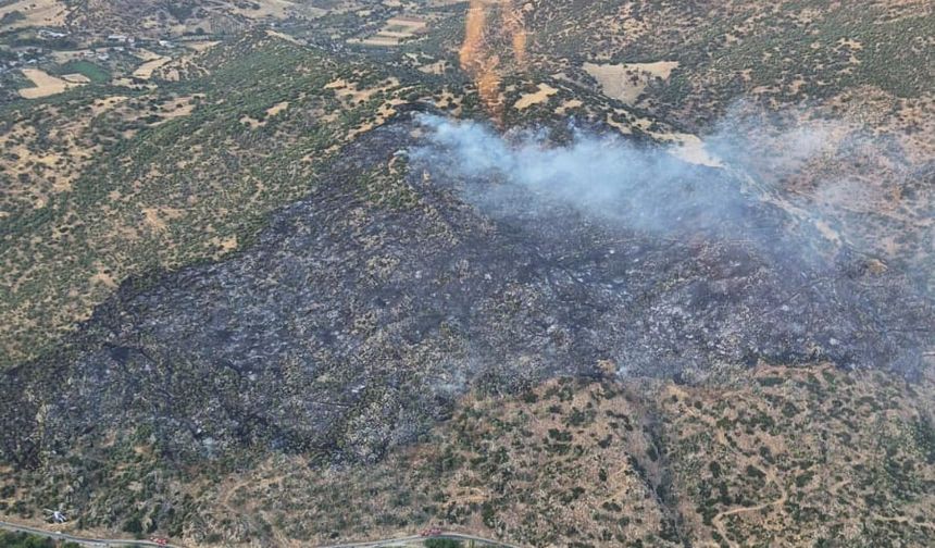 Aydın'da makilik alanda çıkan yangın söndürüldü