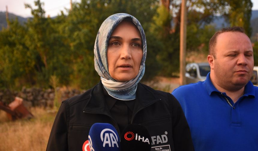Eskişehir'de çıkan orman yangıyla ilgili Afyonkarahisar'da bir köy boşaltıldı