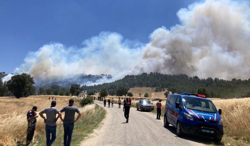 Gedizde ormanlık alanda çıkan yangına müdahale ediliyor