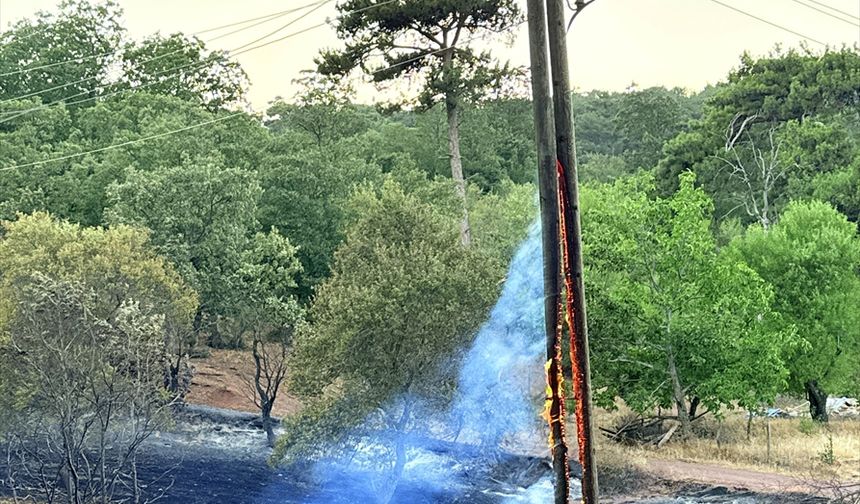 Manisa'da çıkan orman yangını kontrol altına alındı