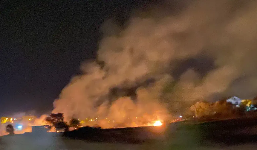 İzmir'in Buca ve Urla ilçelerinde çıkan orman yangınları kontrol altına alındı