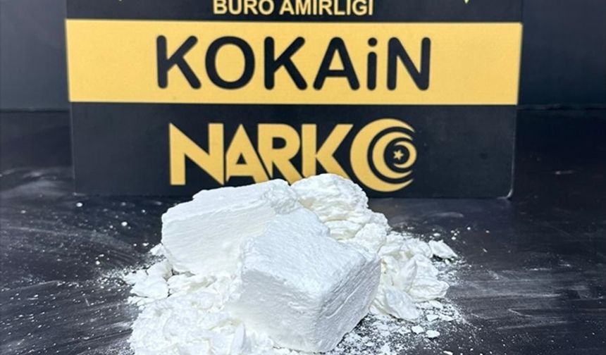 Bodrum'da uyuşturucu operasyonunda yakalanan zanlı tutuklandı