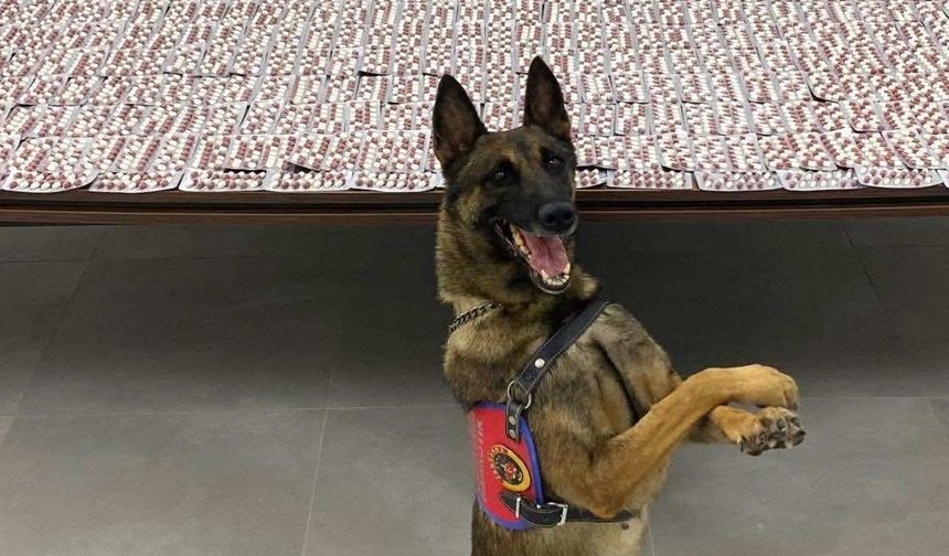 Denizli'de valizinde uyuşturucu ele geçirilen zanlı tutuklandı