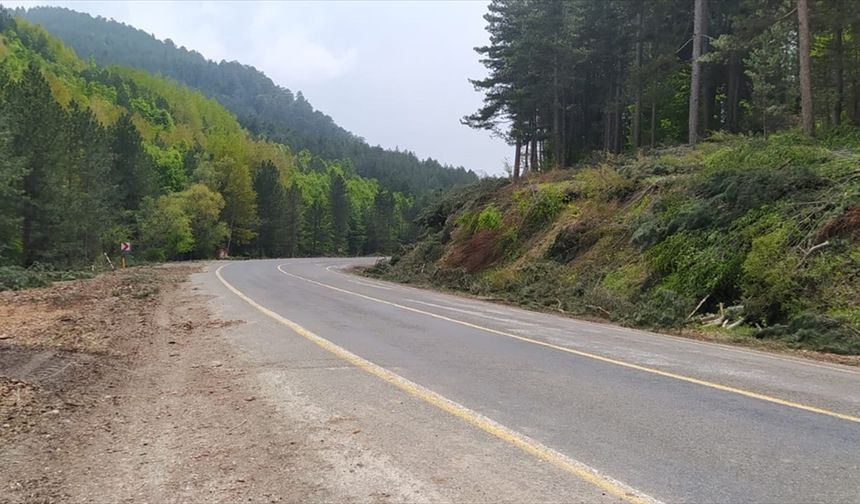 Kütahya'da orman yangınlarıyla mücadelede olumlu sonuçlar alınıyor