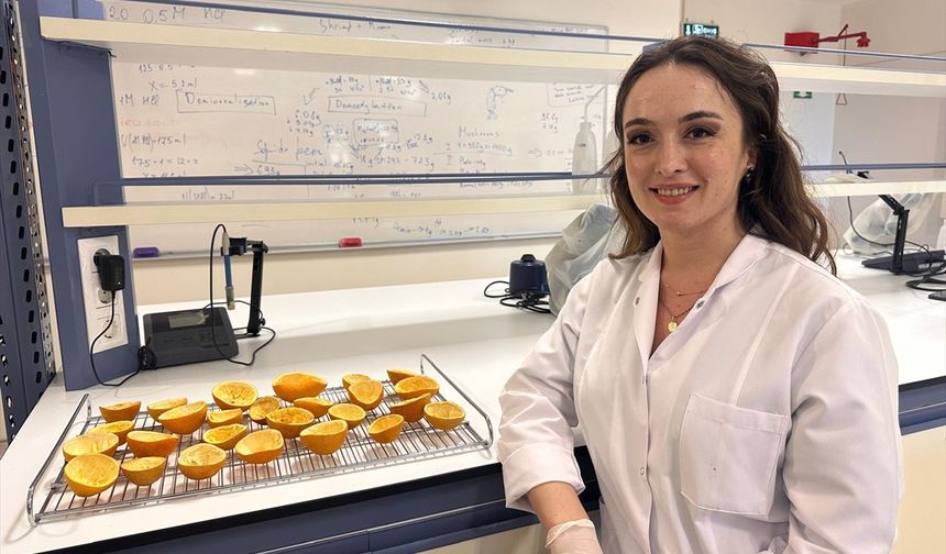 Plastik kullanımını azaltmak için portakal kabuğundan yapılan ambalaj patent aldı