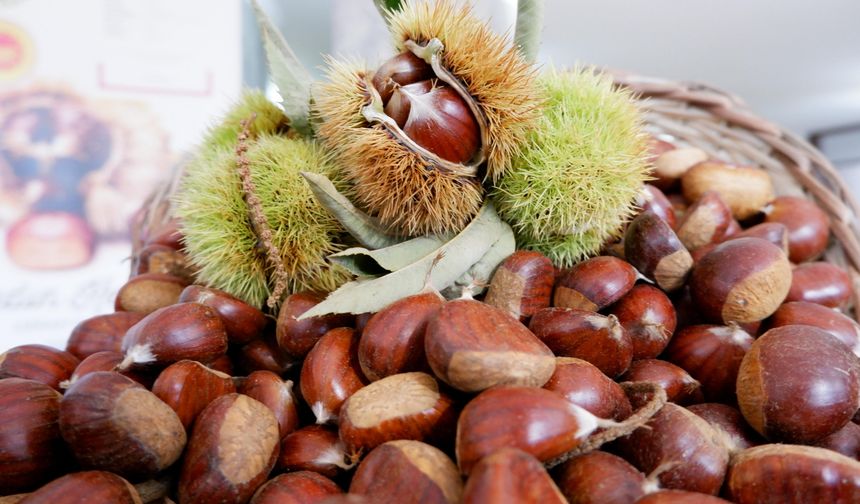 Aydın'da sezonun ilk kestaneleri 550 liradan satıldı