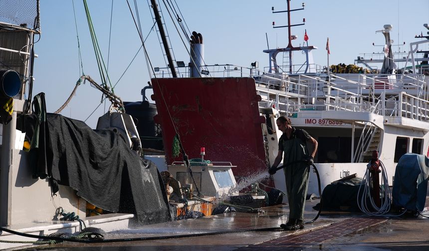 Egeli balıkçılar tayfa bulmakta zorlanıyor