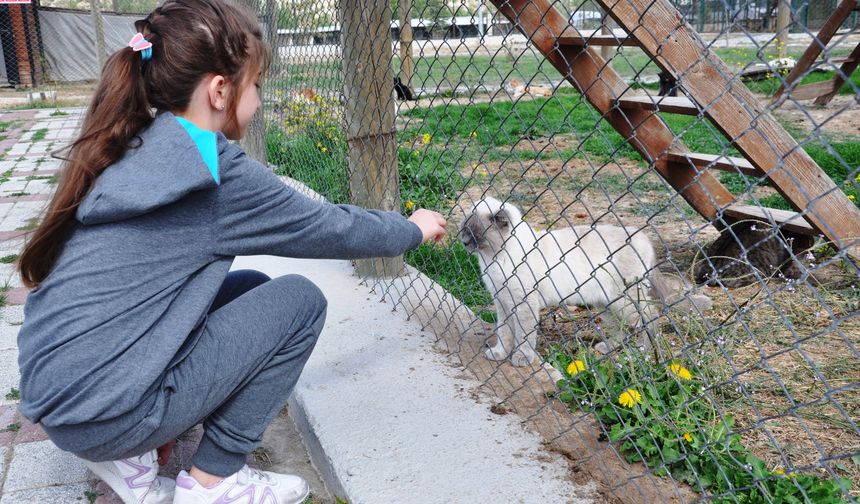 Kütahya Valisi Işın'a hayvanseverlerden hediye