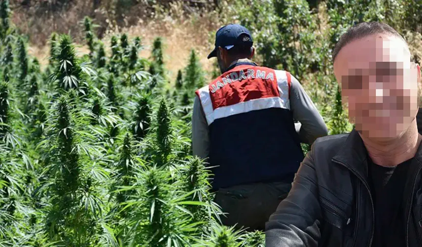 Eşme'de arazisinde esrar yetiştiren imam tutuklandı