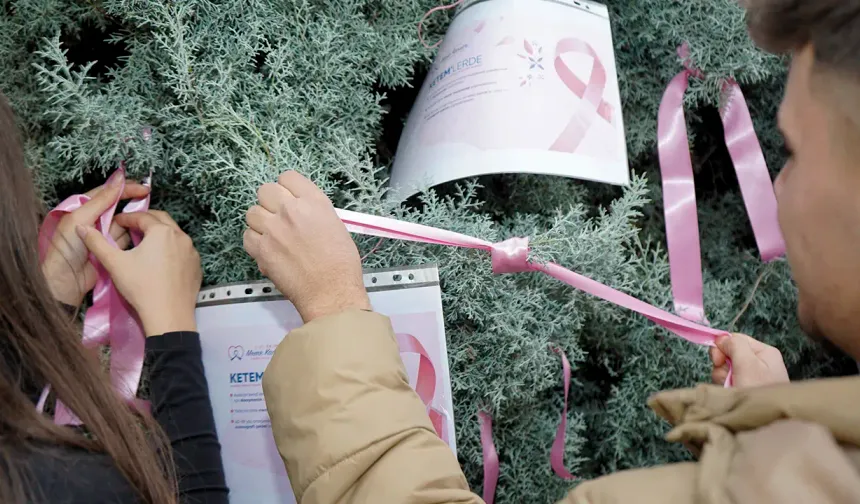 Atapark’ta Anlamlı Görüntüler: Ağaçlar Pembe Kurdelelerle Donatıldı