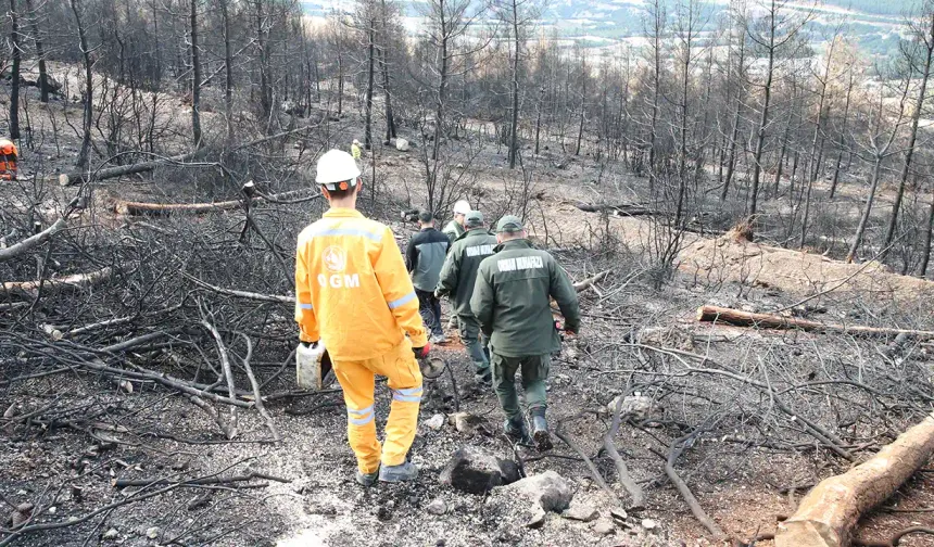 Uşak ve Denizli’de 306 Milyon Fidan Toprakla Buluştu