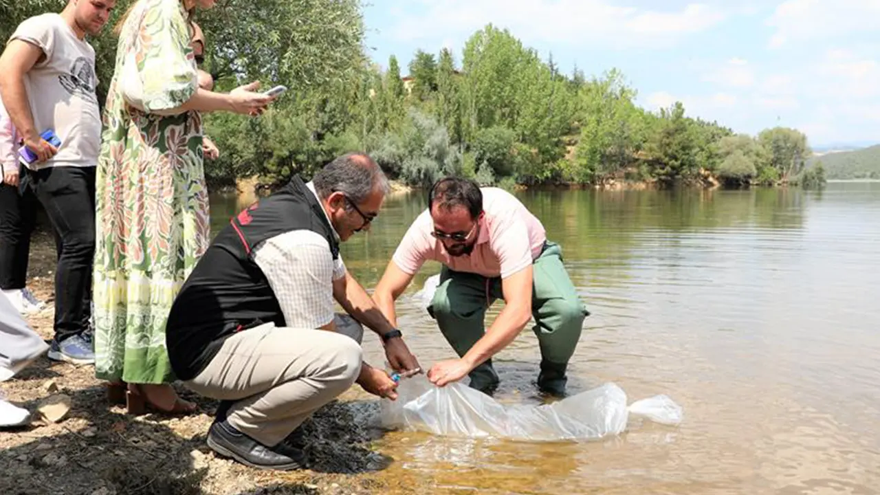 usak-baliklandirma-sazan-usakolay