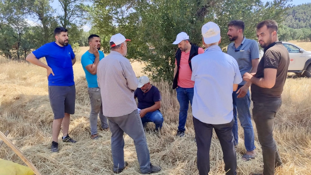 Uşak’ta Orman Yangınlarına Yol Açan Biçerler Kontrol Edildi 4