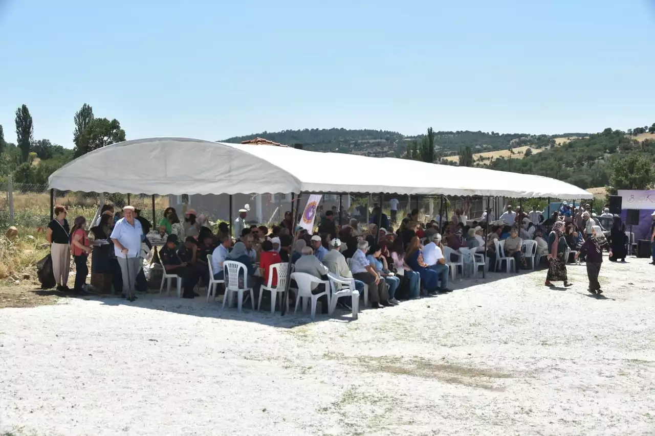 Lavanta Festivali Min