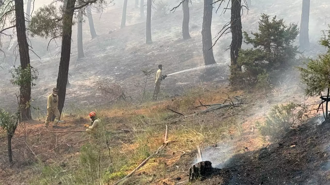 Muratdagi Yangin Usak Gediz 3 Min