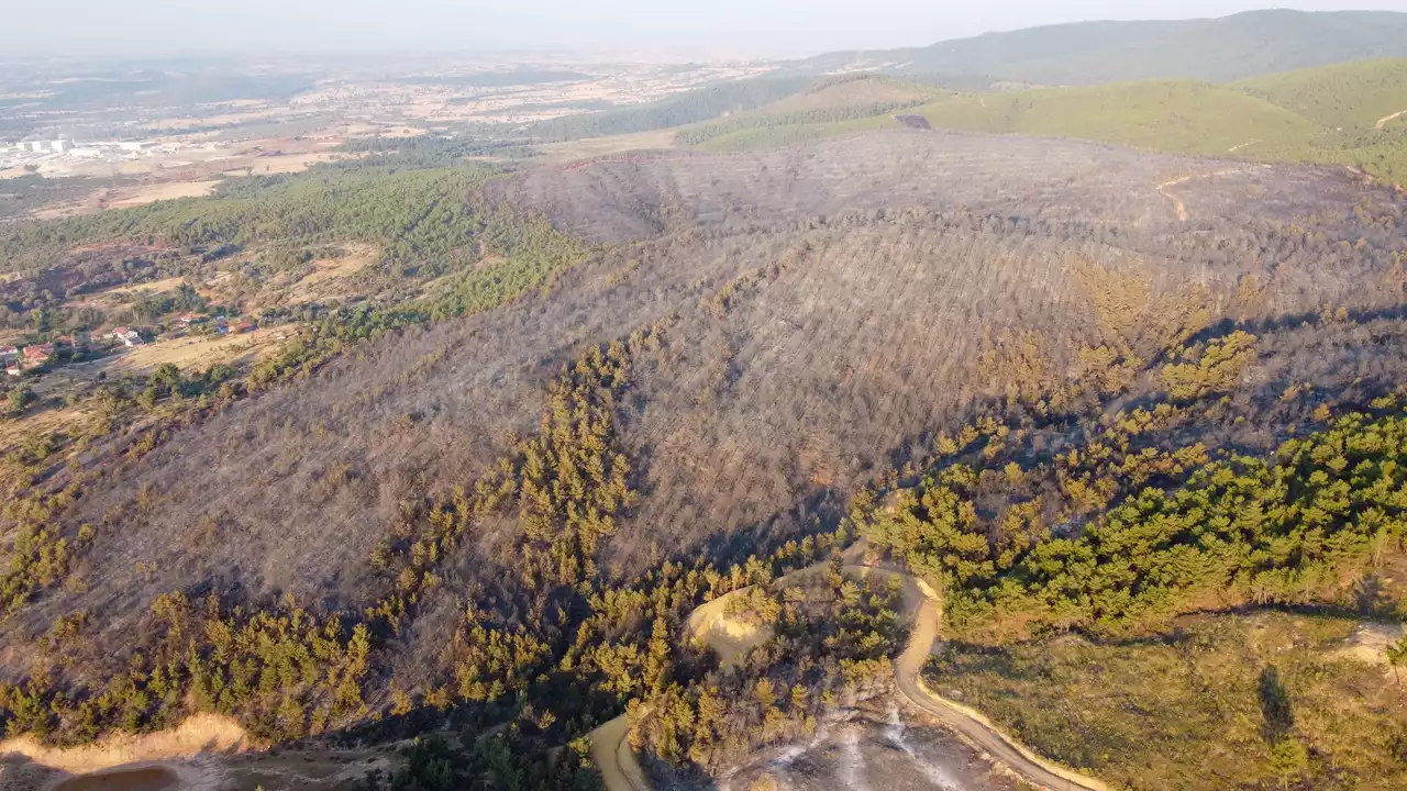 Usak Banaz Orman Yangini 3