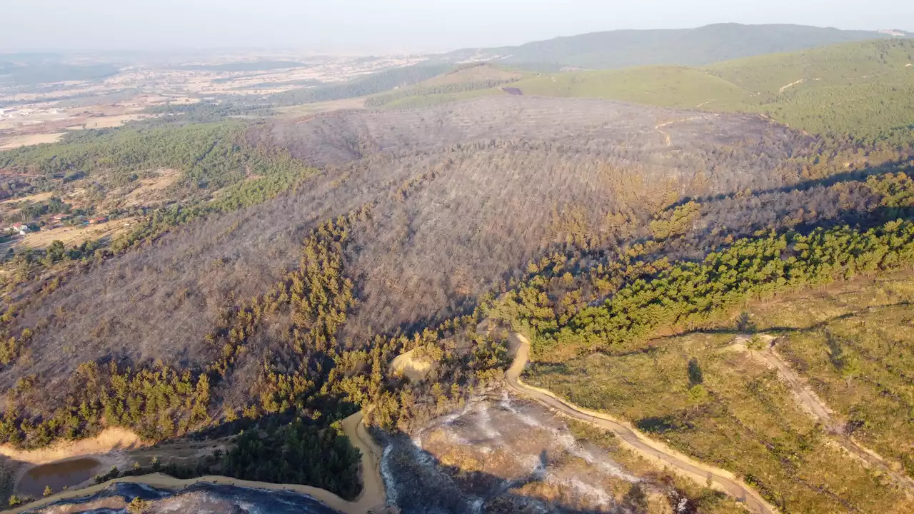 Usak Banaz Orman Yangini