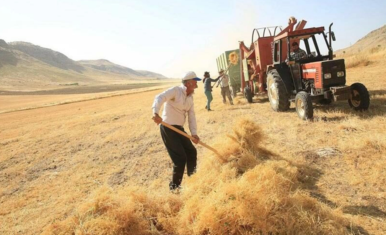 Usak Tarim Iklim Küresel