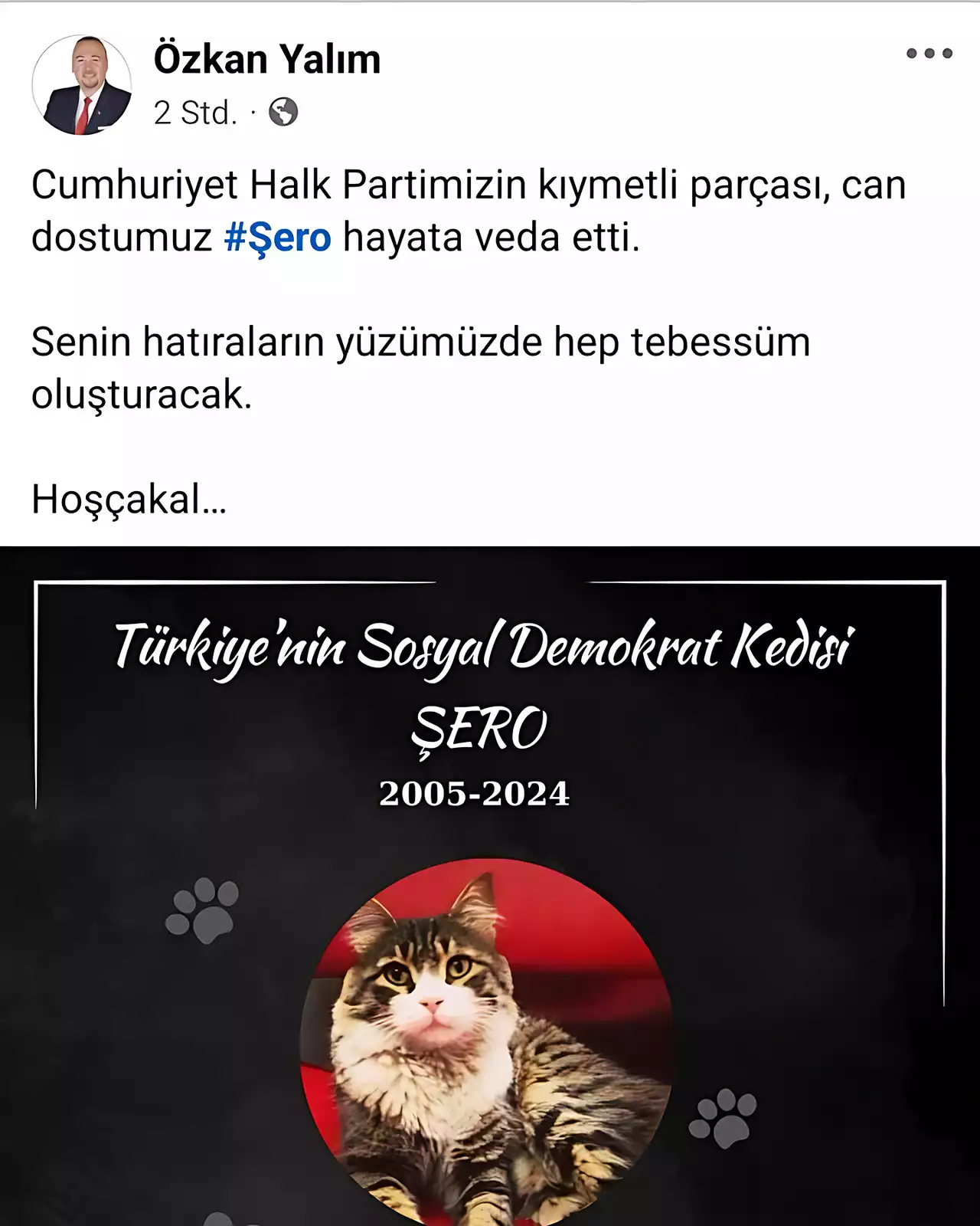 Kedi Sevgisi Min