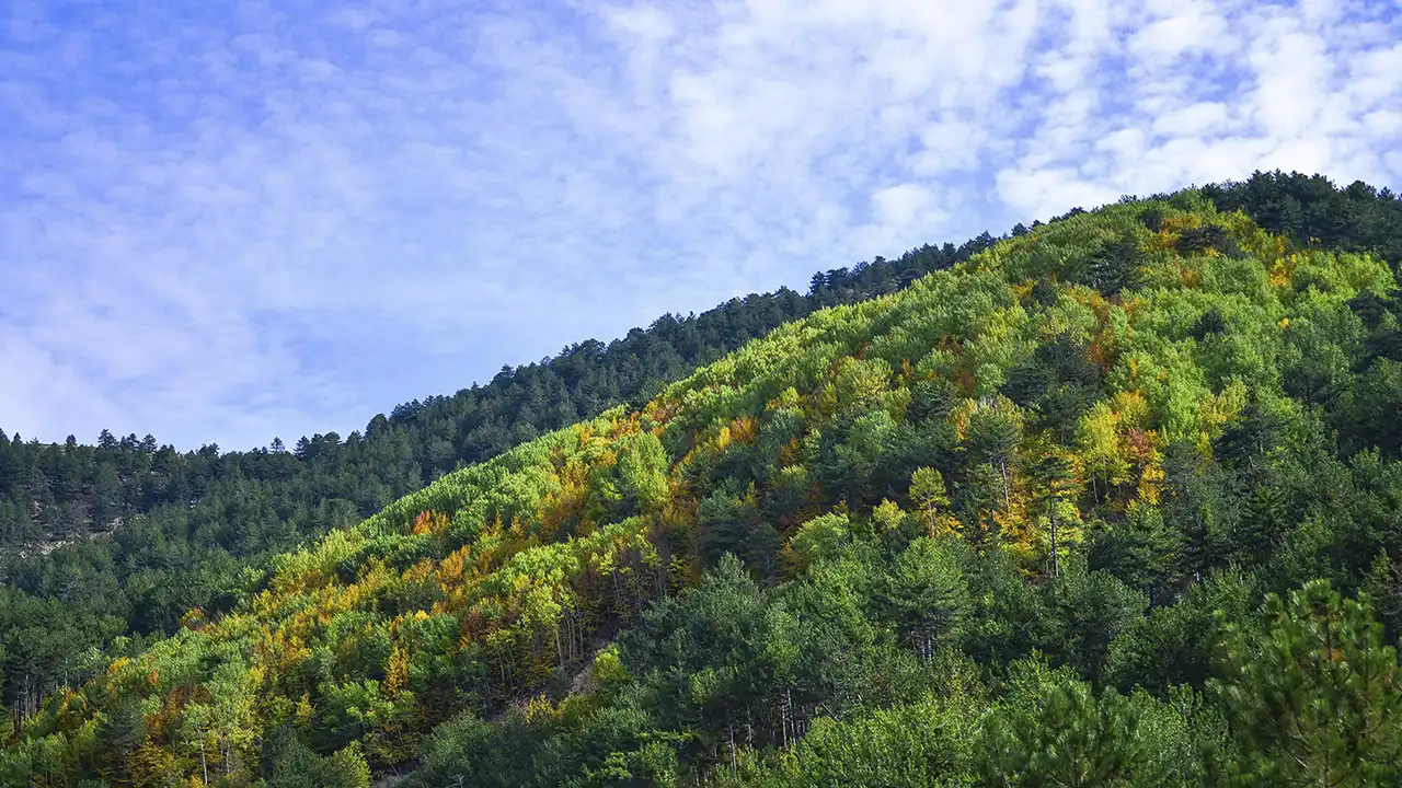 Murat Dağı Sonbahar 1