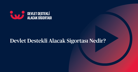 Devlet Destekli Alacak Sigortasi