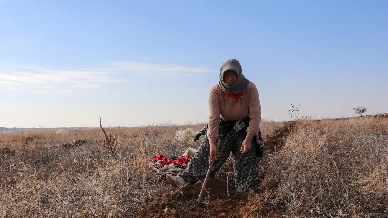 Tuz Çalısı Uşak Yoncalı Köyü 1 1