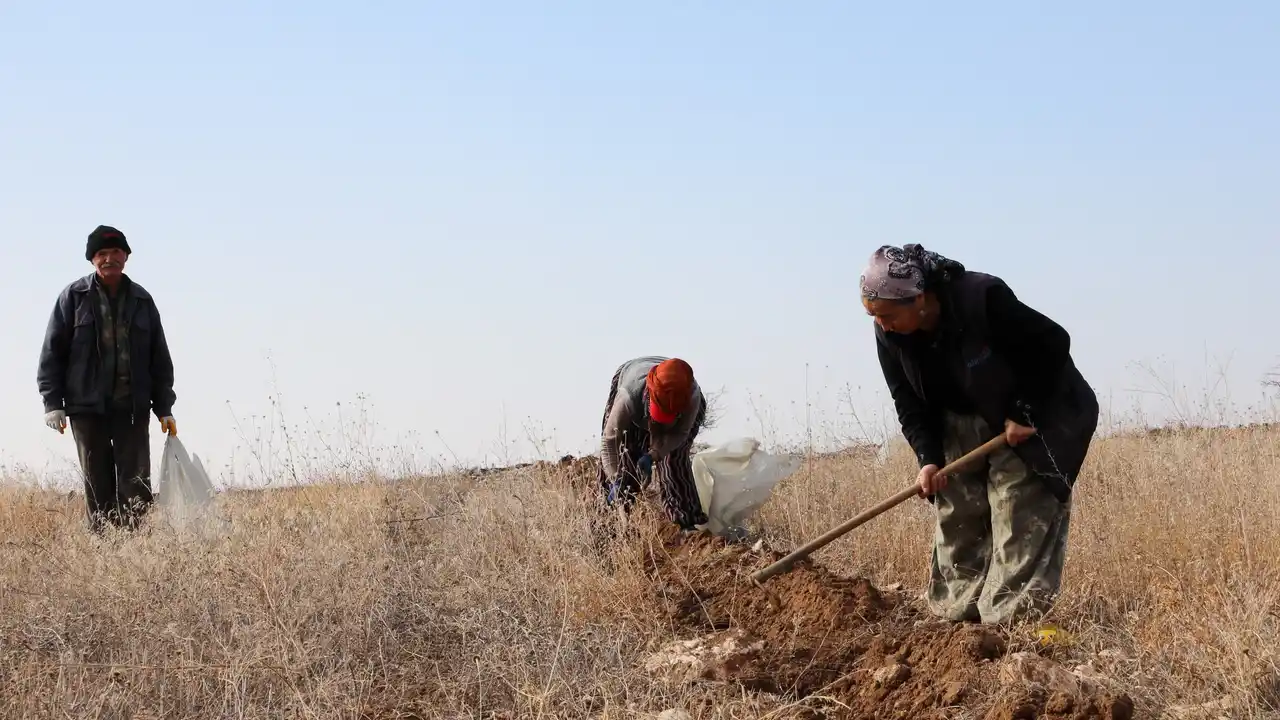 Tuz Çalısı Uşak Yoncalı Köyü 3 3