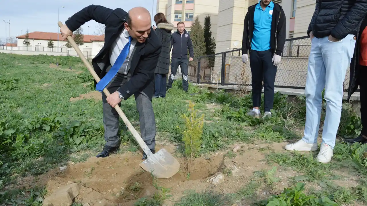 Usak Hastane Bahce Fidan Dikim2