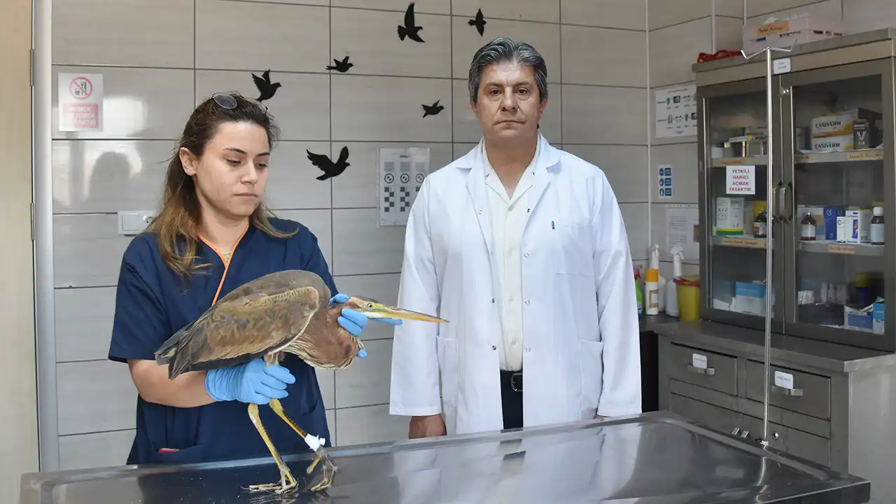 Akürem Uşak Afyon Hayvan Tedavi5