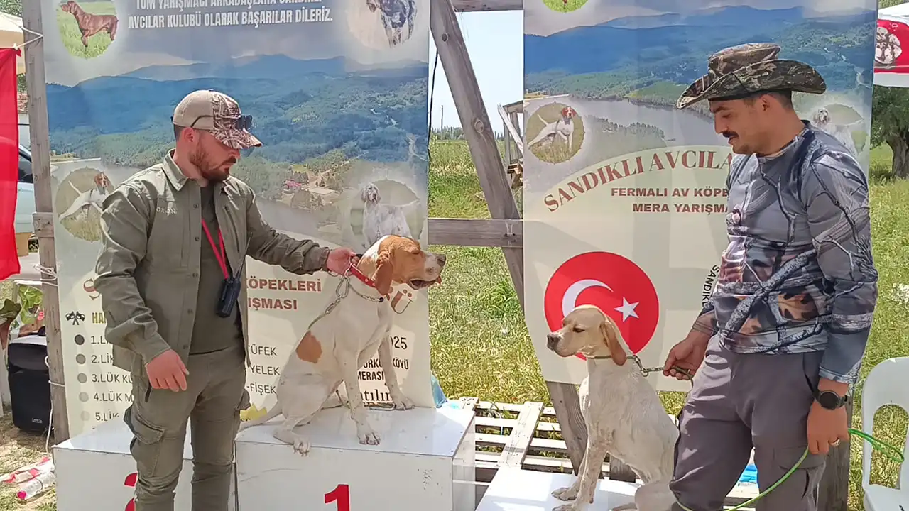 Av Köpeği Yarışma Uşak1