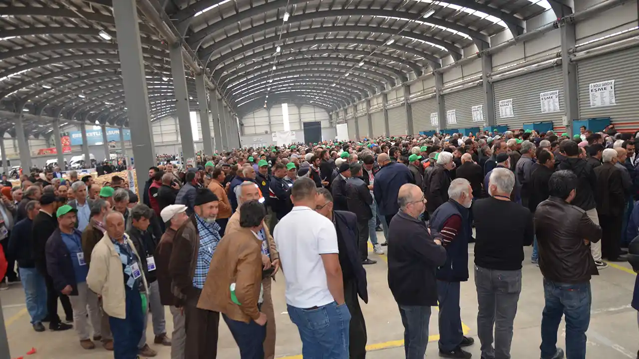 Damızlık Usak Secim Ahmet Yılmaz2