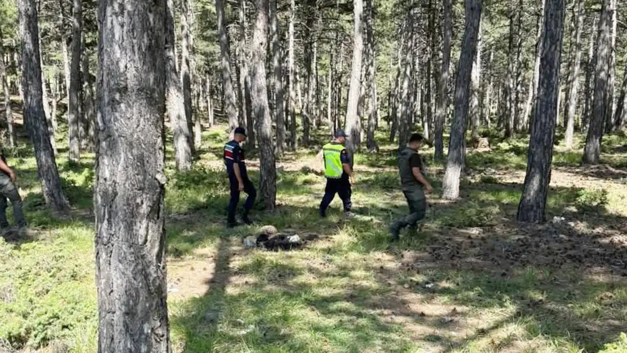 Uşak Banaz Orman Denetim2
