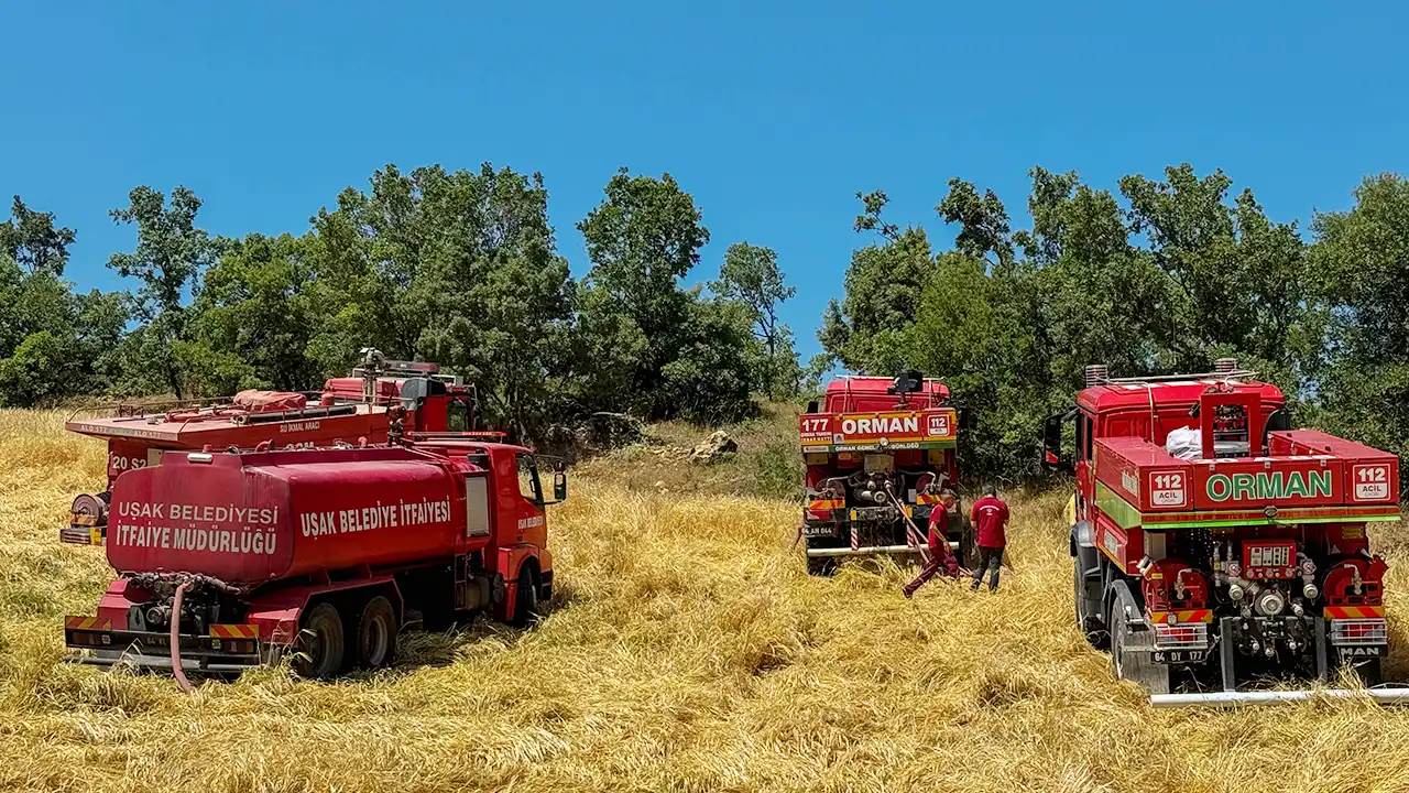 Uşak Ciğerdede Köy Yangın2