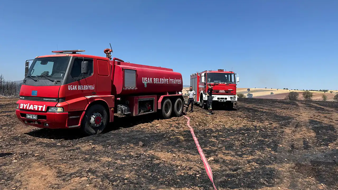 Uşak Çınarcık Yangın1