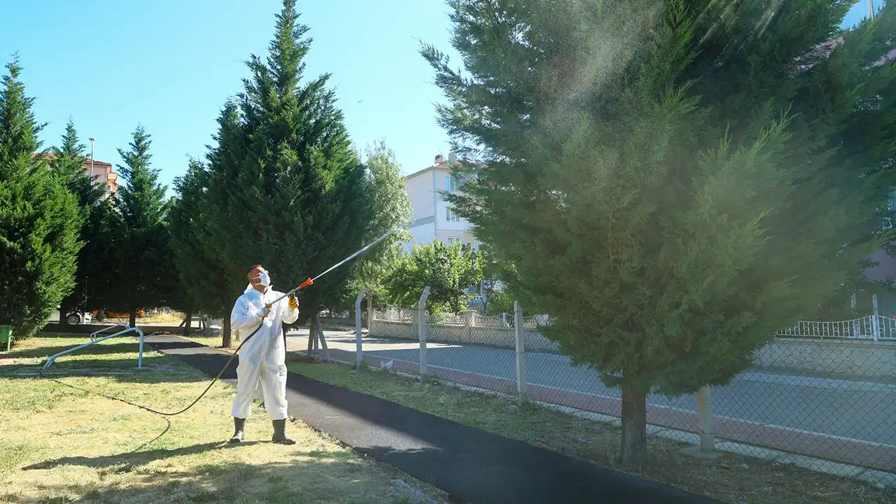 Uşak Kene Ilaçlama3
